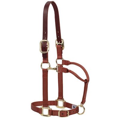 WEAVER BREAKAWAY HALTER LEATHER CROWN SMALL CINNAMON