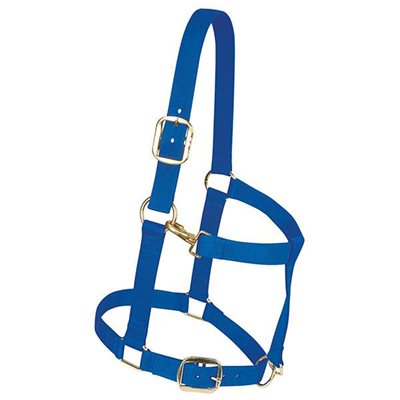 NYLON DRAFT HORSE HALTERS 1 1 / 2'' AVERAGE BLUE