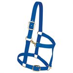 NYLON DRAFT HORSE HALTERS 1 1 / 2'' AVERAGE