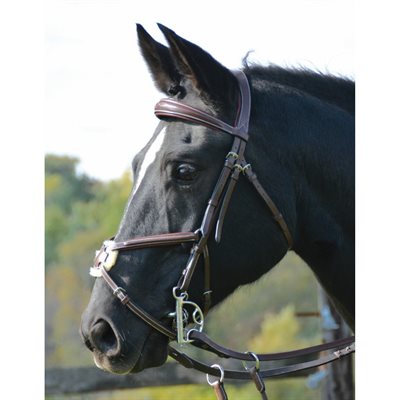 HDR PRO STRESS FREE FANCY STITCH FIGURE 8 BRIDLE BROWN FULL