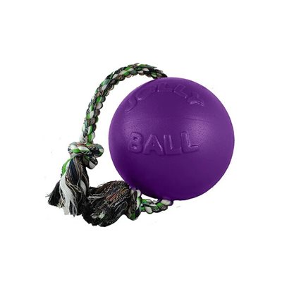 BALLON JOLLY BALL AVEC CORDE POUR CHIEN MAUVE 8''