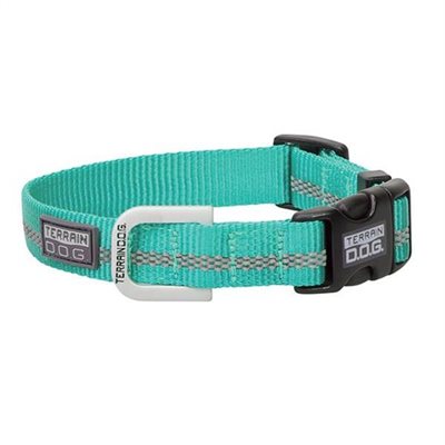 COLLIER POUR CHIEN SNAP-N-GO TERRAIN DOG MENTHE MEDIUM